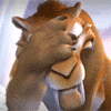 фейспалм тигр.gif