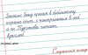 sqx8P51Yfbw.jpg