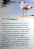 IMG-20171113-WA0001.jpg