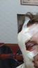 Screenshot_2018-02-06-03-32-09.png
