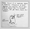 yAQ6tMu3qMw.jpg