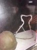 20180916_115612.jpg