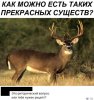 8C90E354-30C1-4596-A8E6-43FB53365641.jpeg