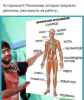 upload_2019-2-21_9-47-14.png