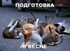 upload_2019-3-10_20-18-3.png