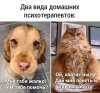 image (79).jpeg
