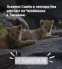 2D768ACA-7302-471E-8DE3-5F9F70BA1487.jpeg