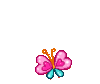 241575981.gif