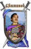 Скиминок.png