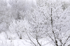 IMG_8905.gif