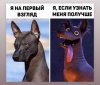 A4E88E0B-B857-4B2A-88D5-EED997E777D5.jpeg