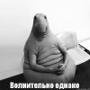 8oqi3o.jpg