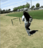 4.gif