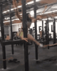 83.gif