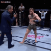 137.gif