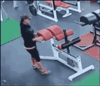 81.gif
