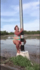 115.gif