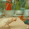 129.gif