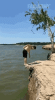 5.gif