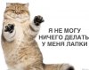 Screenshot_2023-06-01-14-11-42-376_com.android.chrome-edit.jpg