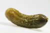 360_F_36231727_eIIbSMDrCqnZ2cmapulVtMgUyrsNryxM.jpg