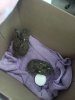IMG-20240507-WA0004.jpg