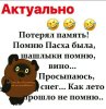 Screenshot_20240507_153317_WhatsApp.jpg