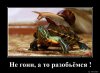 IMG_4006.jpeg