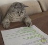 IMG_4019.jpeg