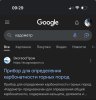 IMG_6876.jpeg