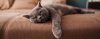 IMG_7102.jpeg