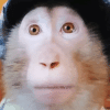 5355072817878549361 (1).gif