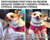 upload_2019-4-17_16-13-50.png