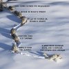 волки.jpg