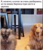 6C903ECA-E57D-4E6A-9D9A-99D7B6DD7B87.jpeg