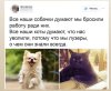86BC7163-BFB8-42C5-9027-A24413974FF4.jpeg