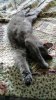 IMG_20200317_164637.jpg