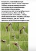 D8E4776D-2D45-4719-9AE3-9B666BECE70E.jpeg