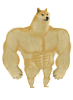 665D6FBB-2C4B-4D73-A743-CF5993DADA9D.png