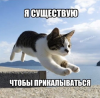 IMG_5478.png
