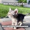 IMG_5561.jpeg