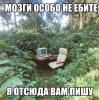IMG_5559.jpeg