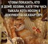 копия.jpg