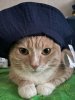 nTjgMdTr0zICR8qjtXFW9qk0TtjUv0QKZ3W-rcsiZykYU2g-SQdPLDqtUKPMr_rr4DPCjWHAbITMvyRqn8avZMe1.jpg