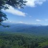 IMG_20260730_130801.jpg
