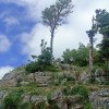IMG_20260730_121631.jpg