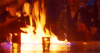 RRER (1).gif