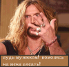 53339.gif