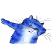20.png