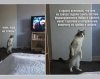 48B57040-CFAE-419E-87BB-3D00A304CE47.jpeg